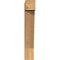 Ekena Millwork Traditional Block Smooth Bracket, Western Red Cedar, 3 1/2"W x 14"D x 22"H BKT04X14X22TRA05SWR - alternate 2